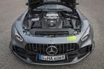 Mercedes-AMG GT R PRO 2019 года (WW)